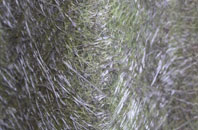 Wainfleet St Mary fibreglass roof work